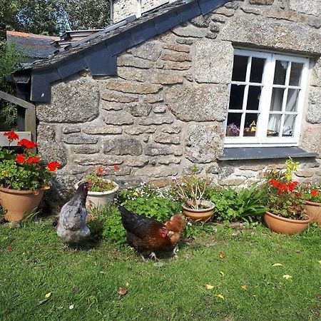 Borea Barn Vegetarian B&B St Ives 외부 사진